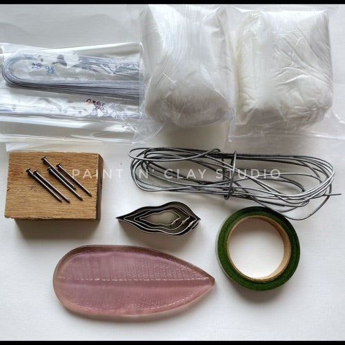 Mango Bonsai Material Kit