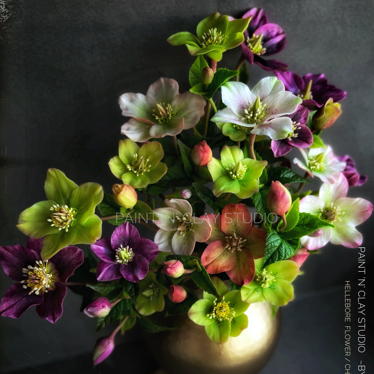 Hellebore Flower (Beginners Course-2)