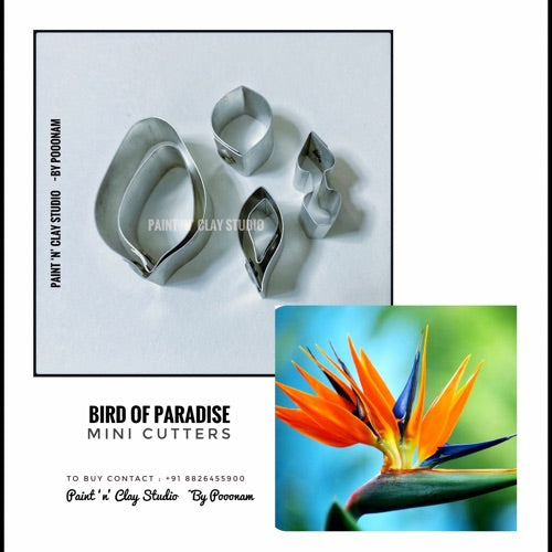Bird of paradise (SS)