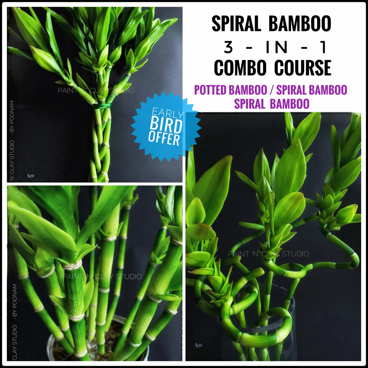 Spiral Bamboo 3-in-1 Combo Course