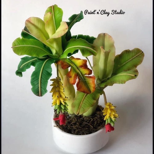 Banana Mini Bonsai Tutorial