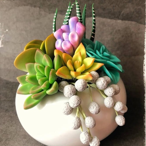 Succulents Short Course (5 types)