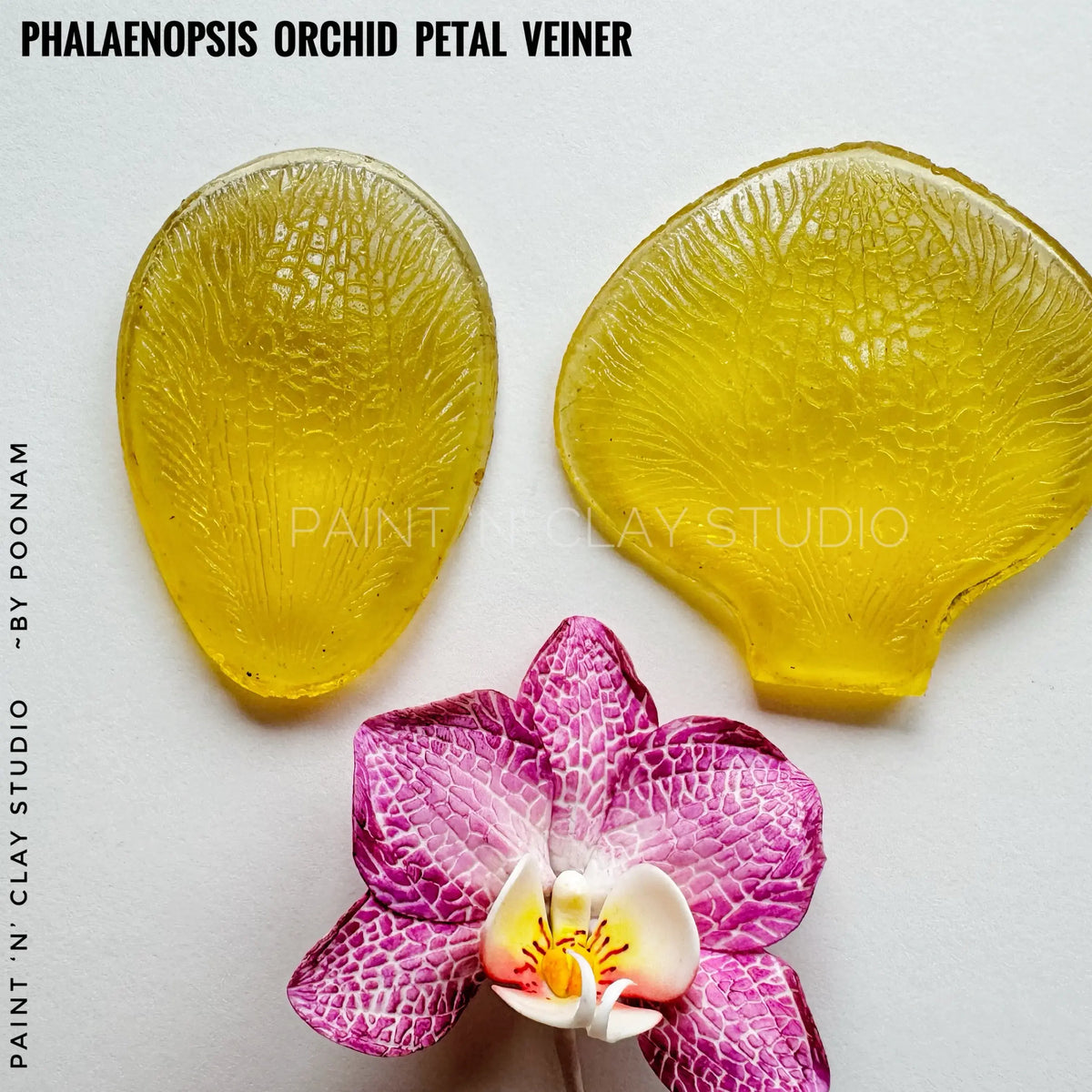 Phalaenopsis orchid petal veiner set