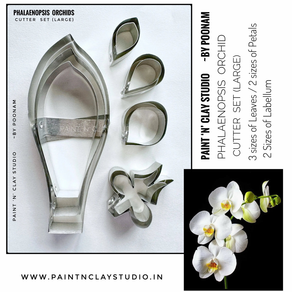 Phalaenopsis Orchid Cutters