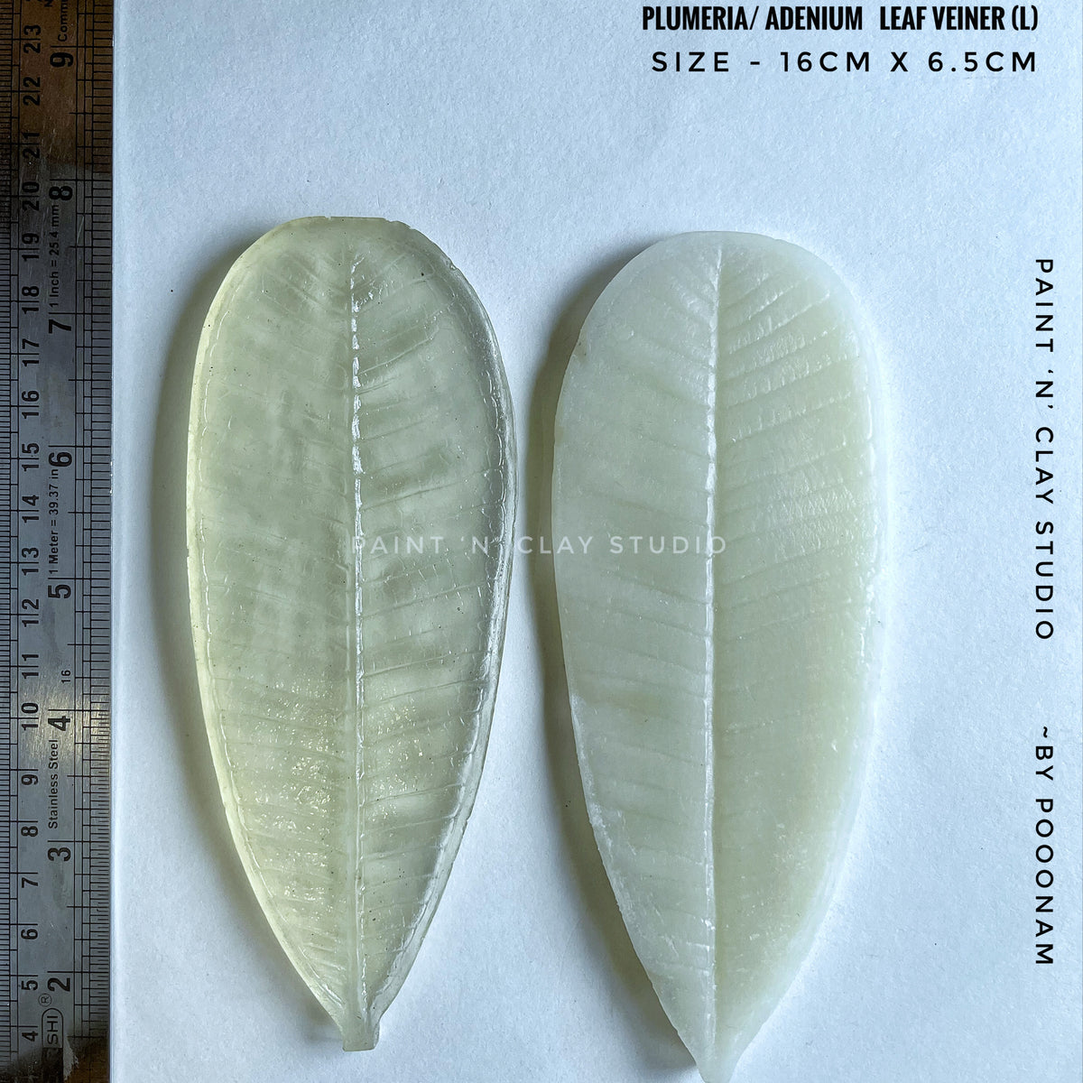 Plumeria Leaf  (L) Double sided veiner