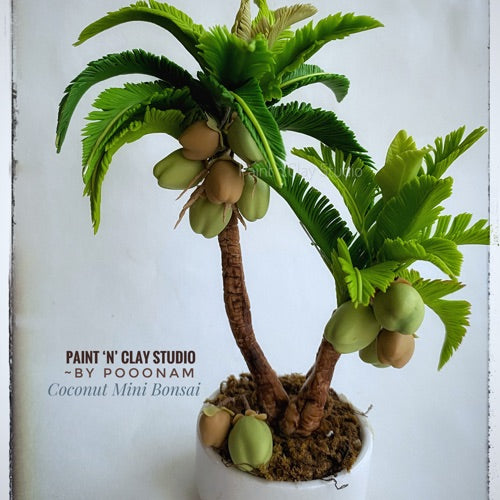 Coconut Mini Bonsai Tutotial