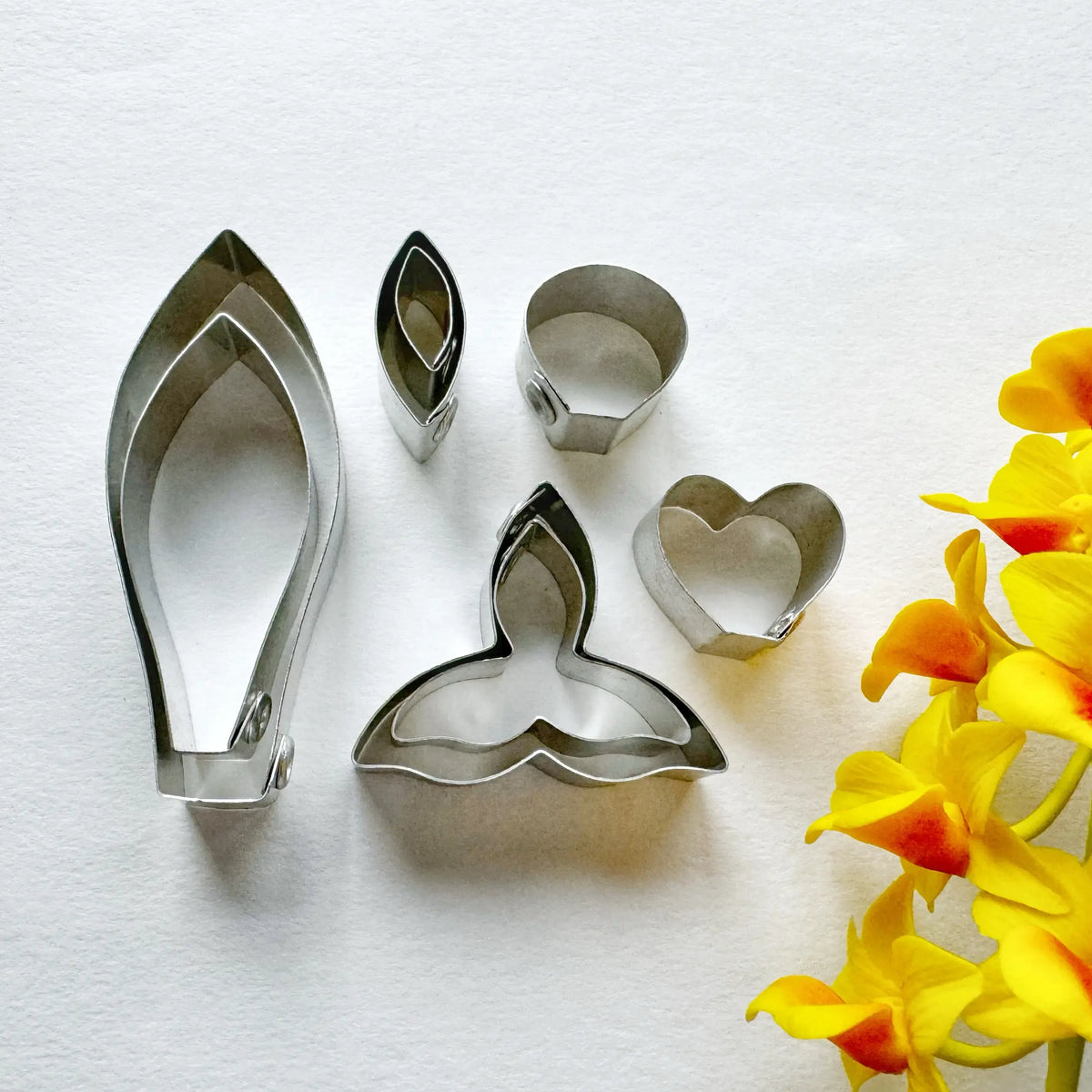 Dendrobium  Farmeri and Aggregatum Cutter Set
