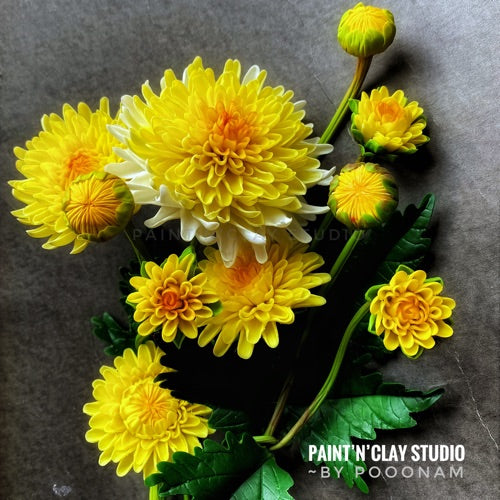 Chrysanthemum Flowers