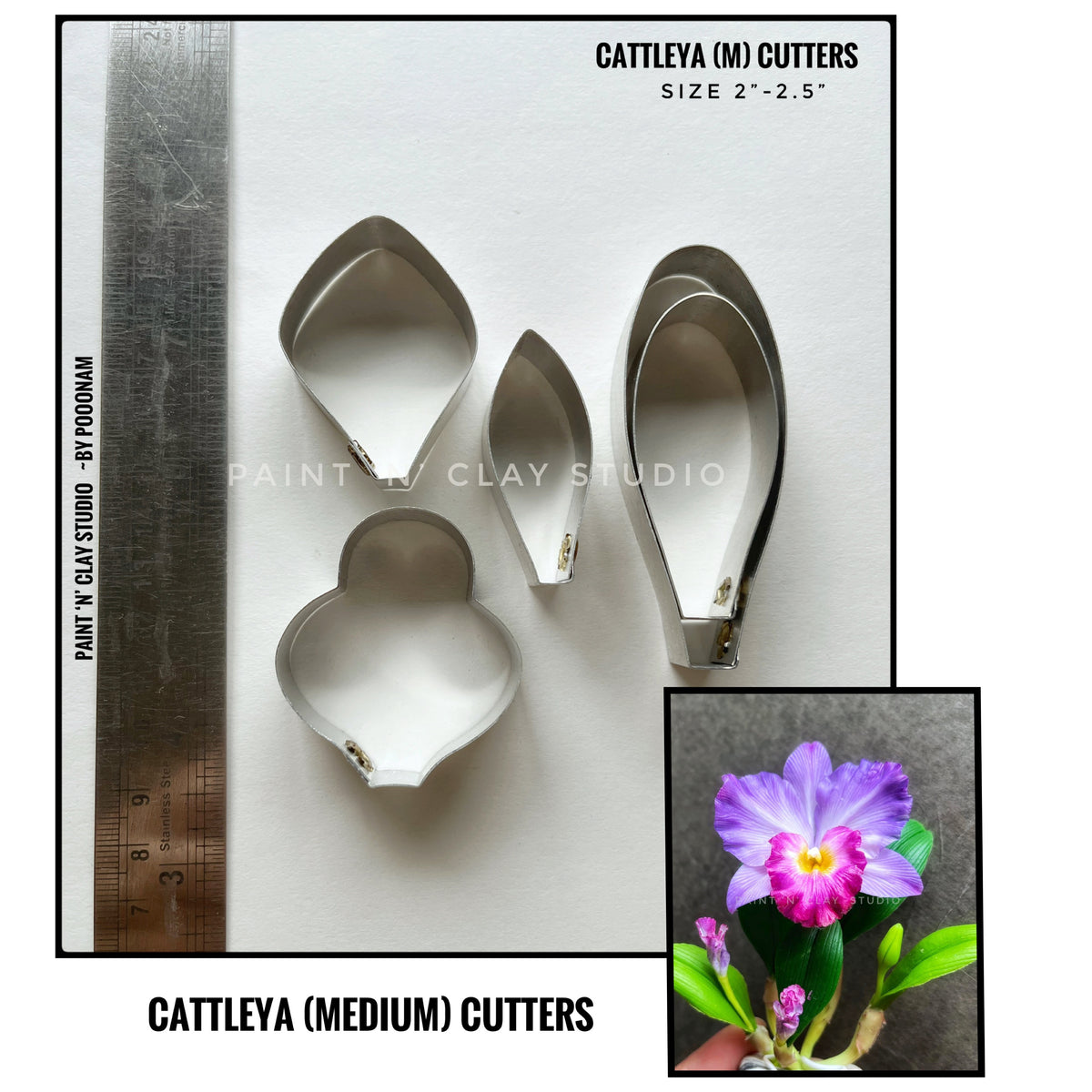 Cattleya Medium Cutters (M)