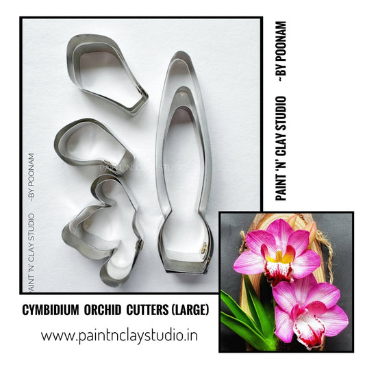 Cymbidium  Orchid Cutters Large