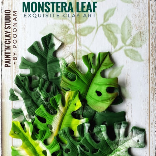 Monstera Leaves
