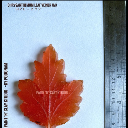 Chrysanthemum Leaf veiner