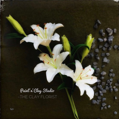 Asiatic Lily (Discount Offer) NO KIT