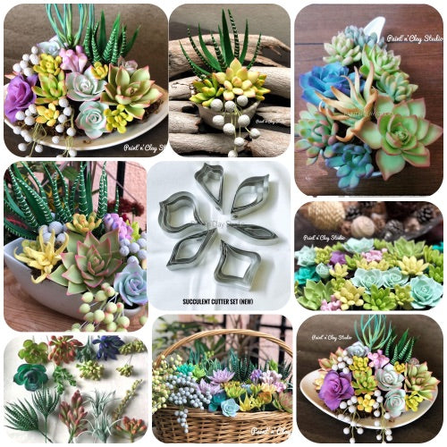 Succulents Full Course 16 types
