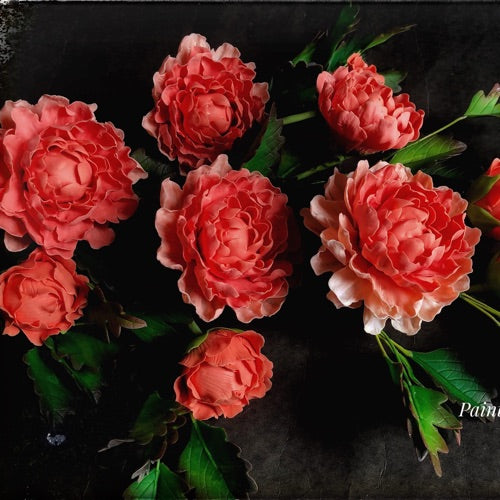 Closed Peony