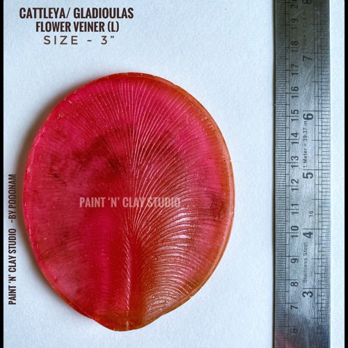 Cattleya/ Gladiolus/ Iris Flower veiner (L)