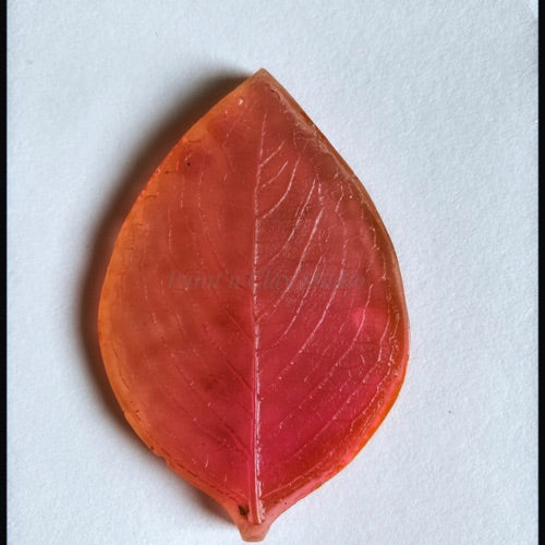 Rose Leaf veiner