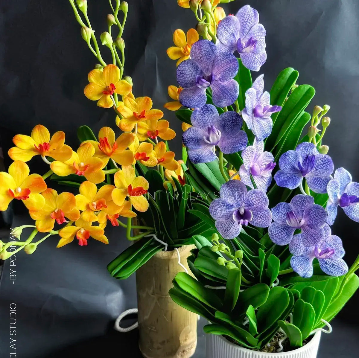 Vanda Mokara Combo Course