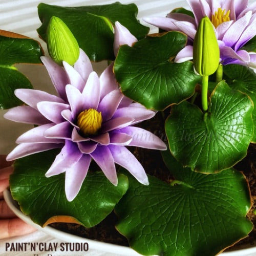 Waterlily Tutorials