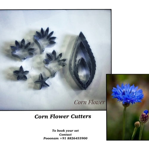Corn Flower