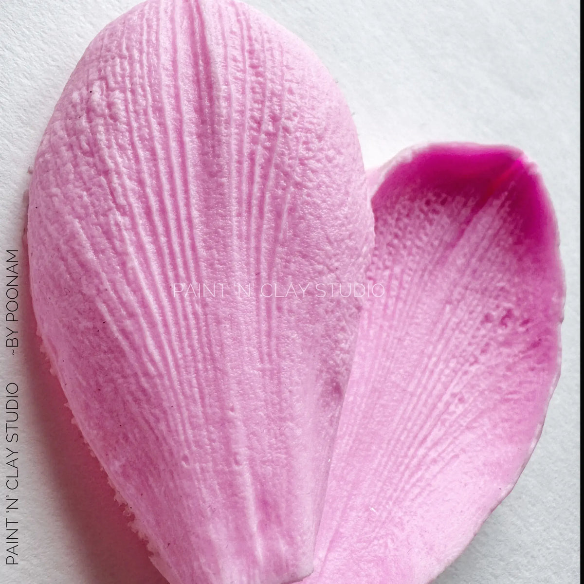 Cymbidium / Amaryllis Flower Veiner