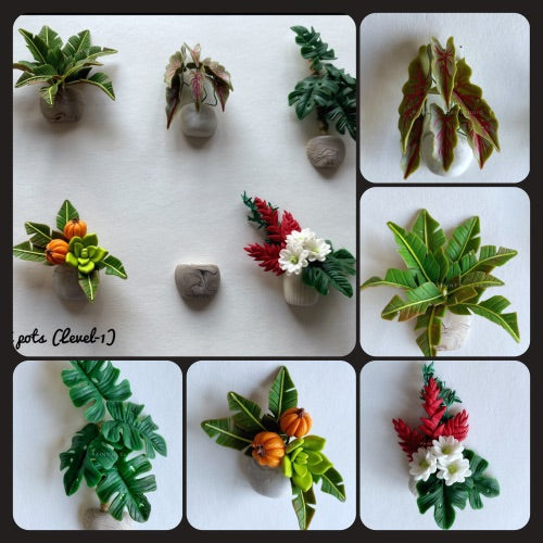 Mini Plants (Level-1)