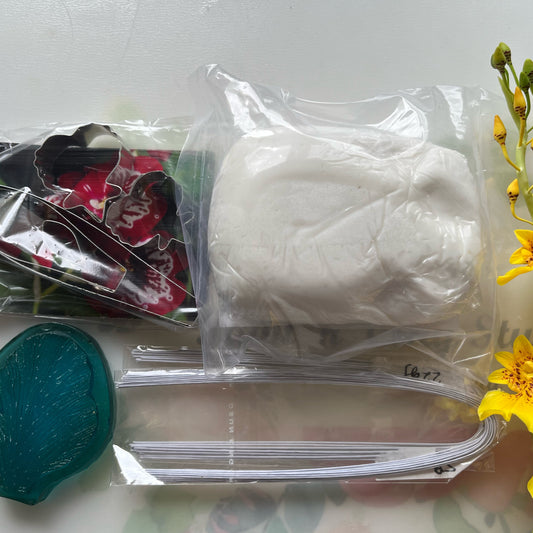 Oncidium Orchid Material kit
