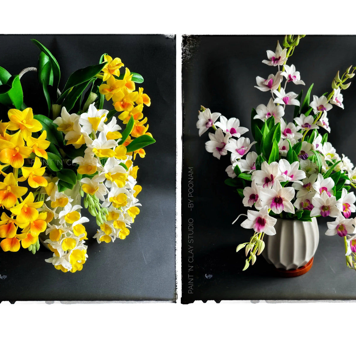 Dendrobium Combo Course
