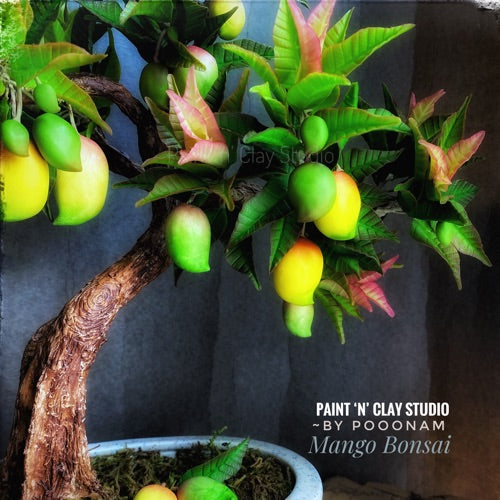 Mango Bonsai Tutorials