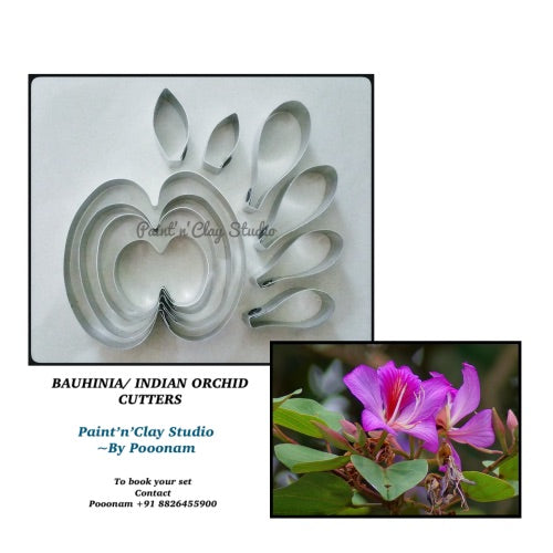 Bauhinia cutters