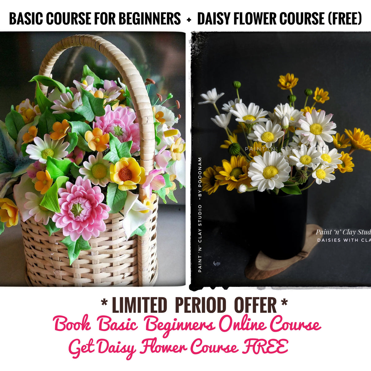 Basic Course + Daisy  (No Kit) Special offer