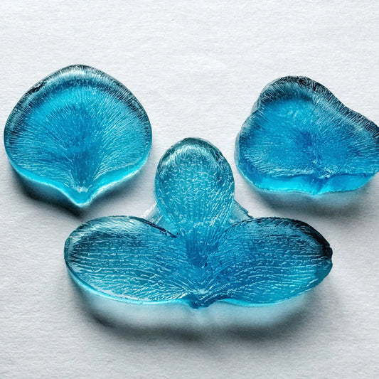 Dendrobium  Petal Veiner Set