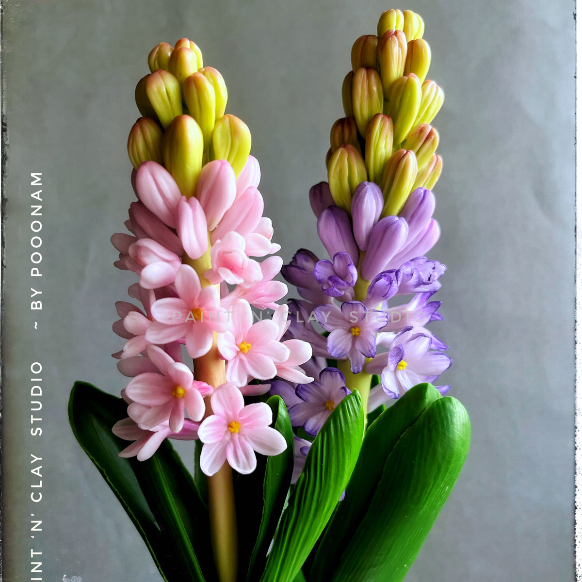 Grape Hyacinth Tutorials